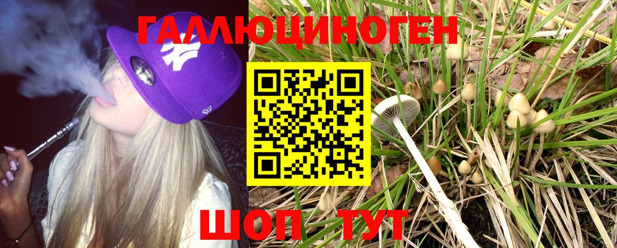 Галлюциногенные грибы Psilocybine cubensis Тобольск